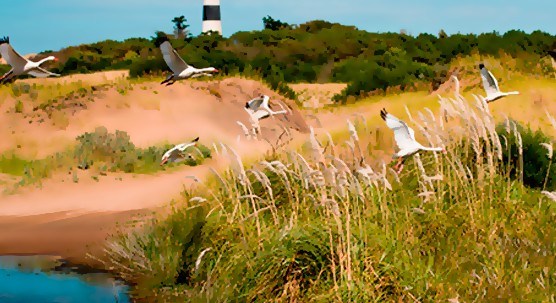 Que hacer en Mar Azul - Reserva Municipal Faro Querandi Que hacer en Mar Azul - Reserva Municipal Faro Querandi